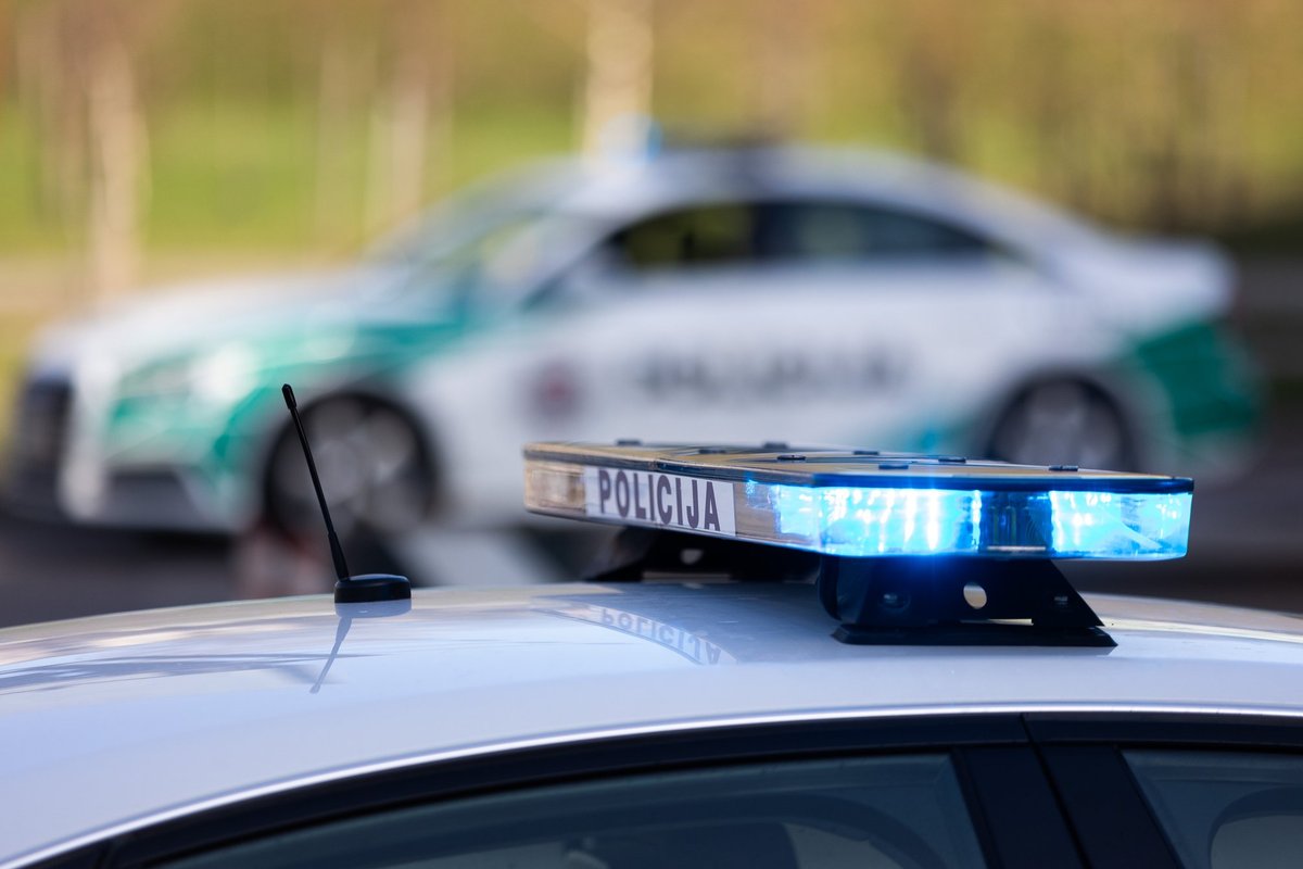 Rastas su antkakliu nugaišęs šuo - Letena.lt