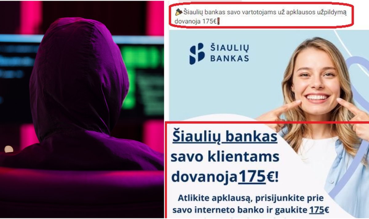 Kibernetinis nusikalt?lis, internetinio suk?iavimo pavyzdys