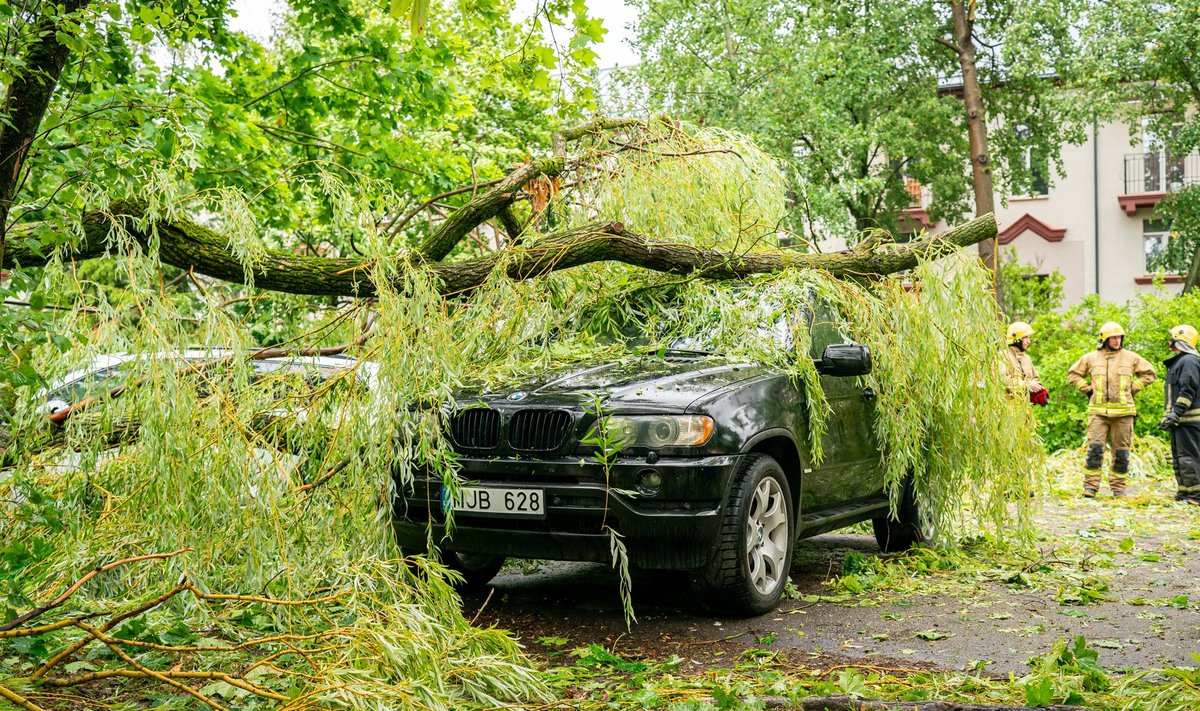 Audros padariniai Panevėžyje