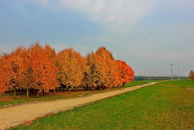 Nemuno pakrantė Kaune / DELFI skaitytojo nuotr.