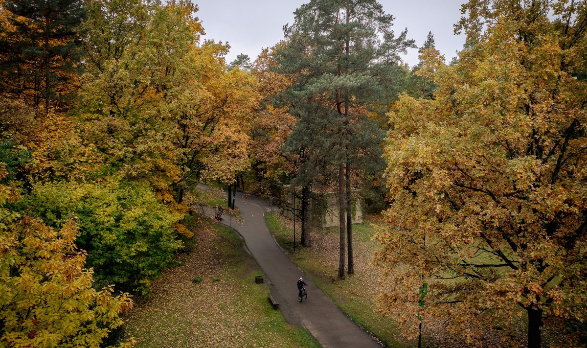 Rudenėjantis Vilnius