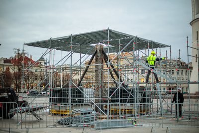 Katedros aikštėje pradėta statyti Kalėdų eglė