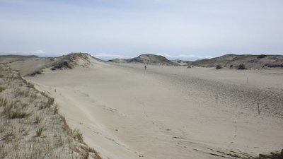 Naglių rezervatui kenkia vaikštantys žmonės