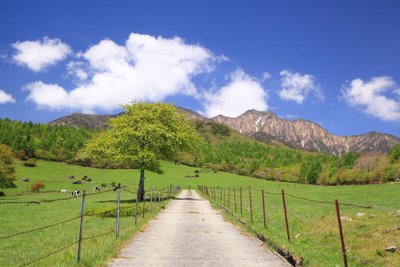 Yatsugatake, Yamanashi (Japonija)