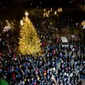Kalėdų eglių įžiebimo maratoną tęsia Biržai – ant žaliaskarės nutūpė tūkstančiai žibančių lempučių