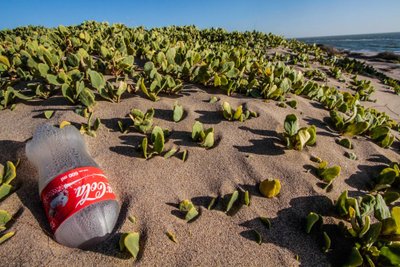 „Coca-cola“ buteliukas kopose