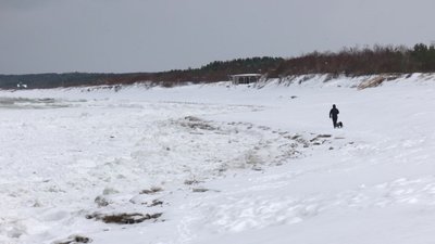 Pajūryje pasikeitęs vėjas jūros ledą dabar stumia į krantą
