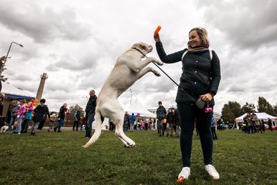 Pasaulinė gyvūnų diena Gargžduose