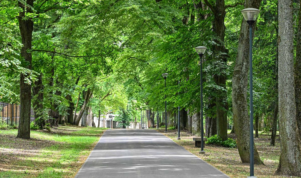 Skaistakalnio parkas Panevėžyje