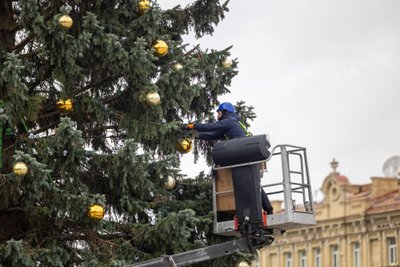 Katedros aikštėje puošiama Kalėdų eglė