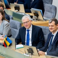 Šadžius žada atsižvelgti į prezidento kritiką 