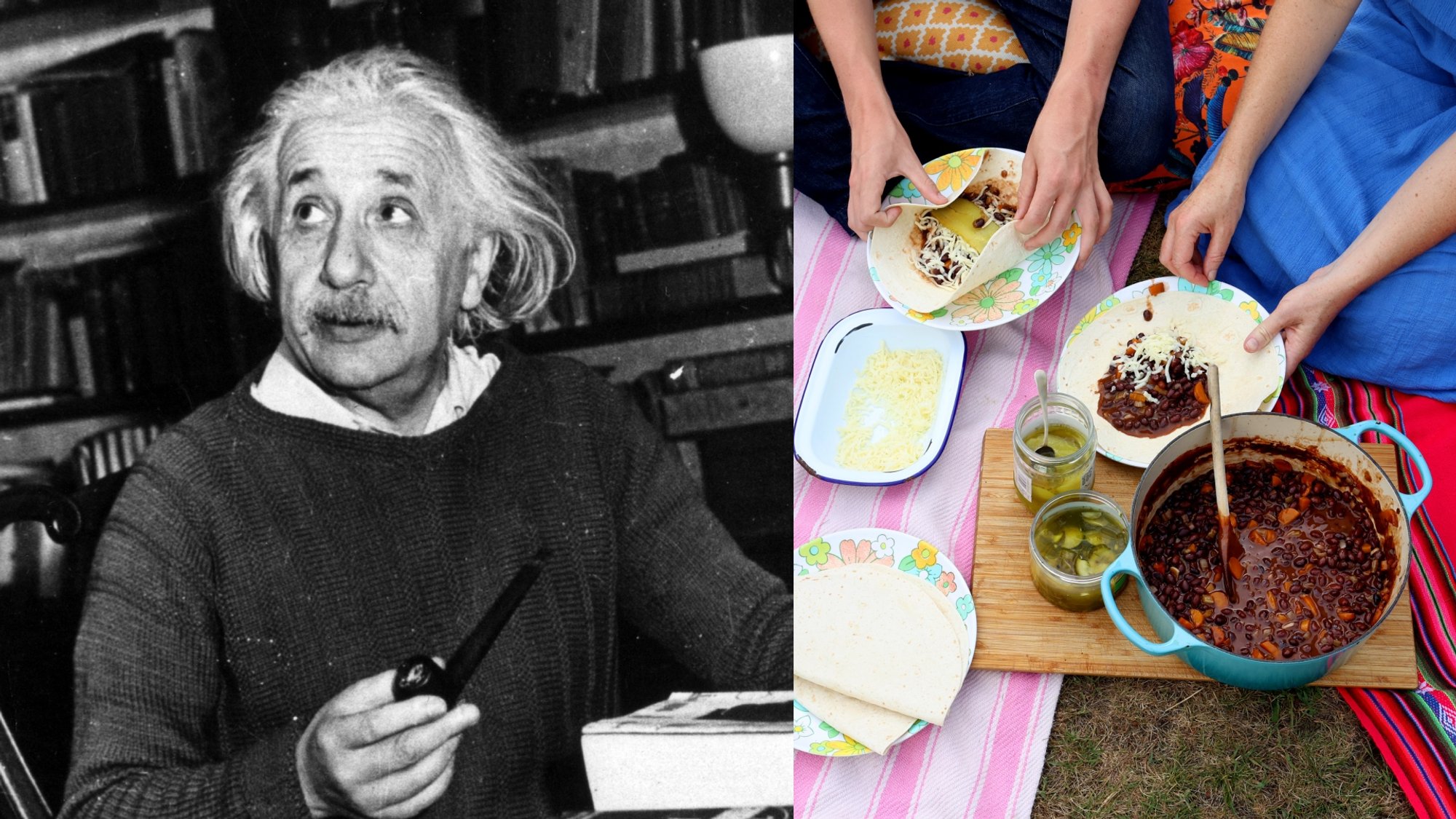 The Dish Einstein Couldn't Resist: Mushrooms Were a Daily Staple