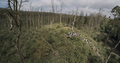 Kadrai iš filmo "Rūgštus miškas"