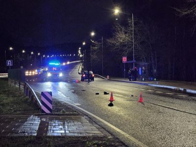 Vilniuje automobilis partrenkė du žmones