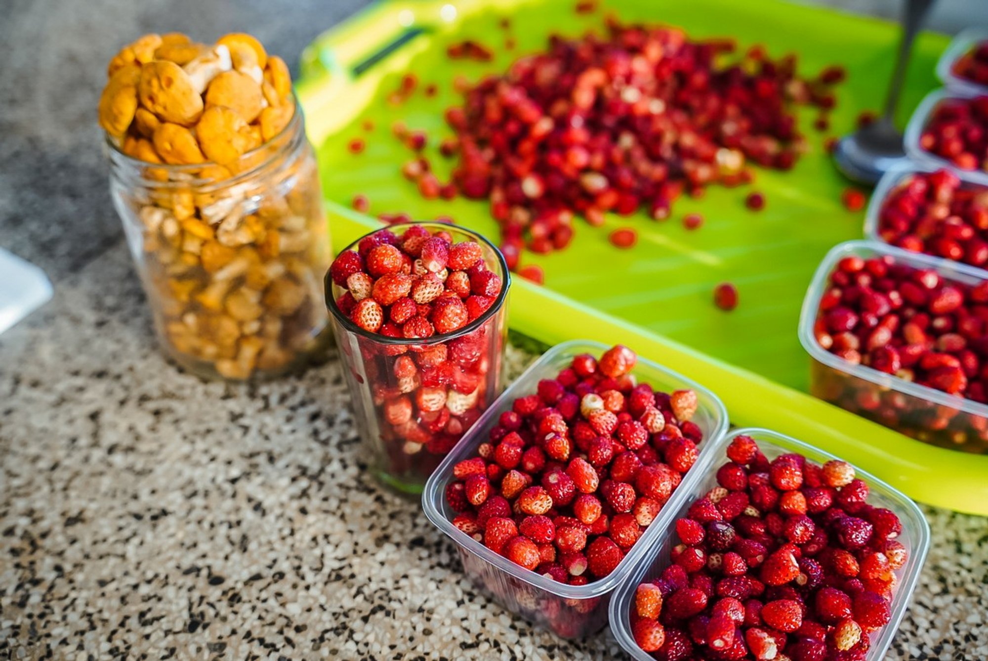 Early Berries and Mushrooms Hit Lithuanian Markets with High Prices