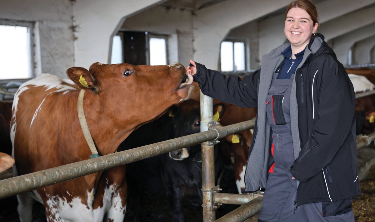Viltė šiuo metu rūpinasi daugiau nei 3 tūkstančių galvijų sveikata