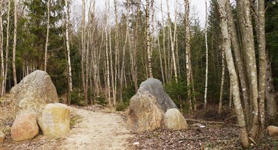Akmenų rūžos takas Tytuvėnų reg. parke