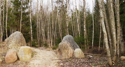 Akmenų rūžos takas Tytuvėnų reg. parke