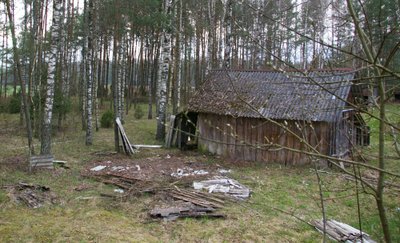 Asbestinė stogo danga / R. Rimgailaitės nuotr.