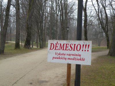 Varninių paukščių medžioklė Plungės parke (E. Vaičiaus nuotr.)