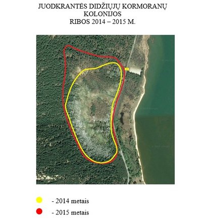 Juodkrantės kormoranų kolonijos ribos