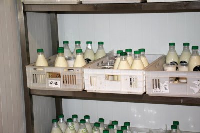 Ekologiškas pieno ūkis