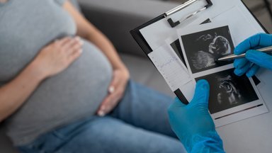 KT vertins, ar tai, kad teismo nuosprendžio vykdymas neatidedamas nėščioms moterims, neprieštarauja Konstitucijai