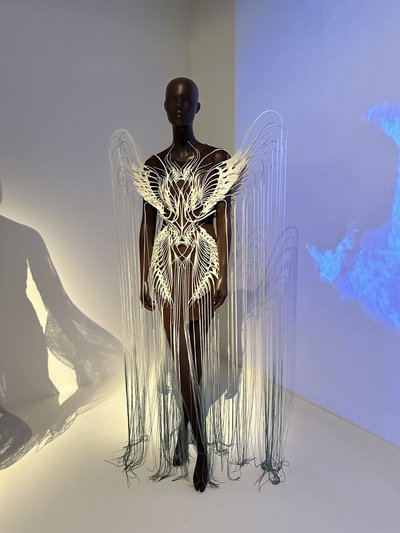 Iris Van Herpen paroda „Pojūčių lipdymas“