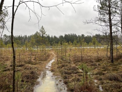 Sapropelio yra visoje Lietuvos teritorijoje, bet daugiausia išžvalgytų išteklių – Vilniaus, Utenos ir Alytaus apskrityse