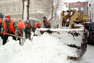 1999 02 24 VAŽIAVIMO SĄLYGOS KELIUOSE BUVO SUDĖTINGOS, TODĖL JIE BUVO NUOLAT VALOMI. VASARIO 24-ĄJĄ PŪGA SIAUTĖ BEVEIK VISOJE LIETUVOJE. VILNIAUS, UTENOS IR PANEVĖŽIO APSKRITYSE VIETOMIS BUVO PRISNIGTA IKI 20 CM