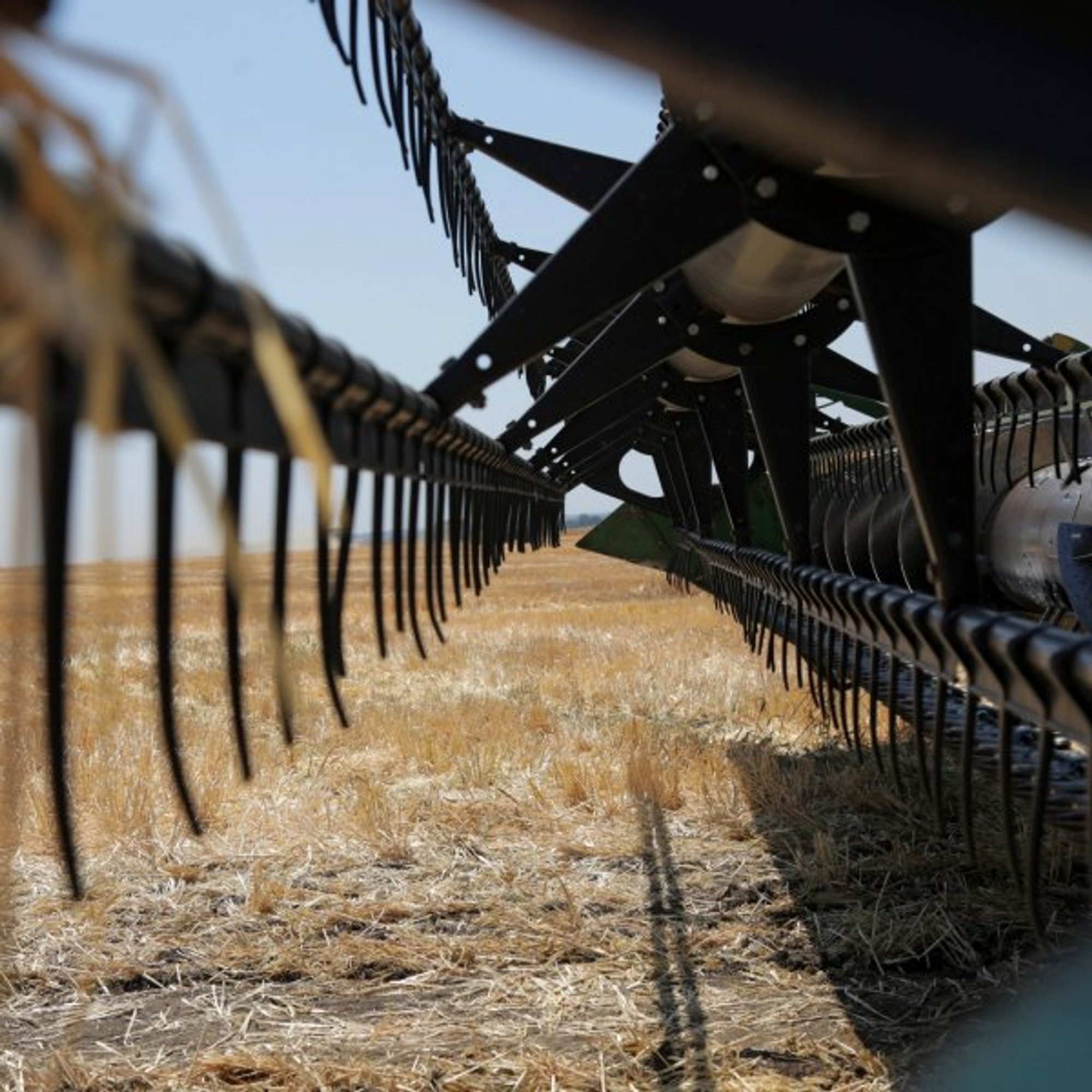 Ukraine's Vast Farmland Raises Concerns for European Farmers Amid EU Bid