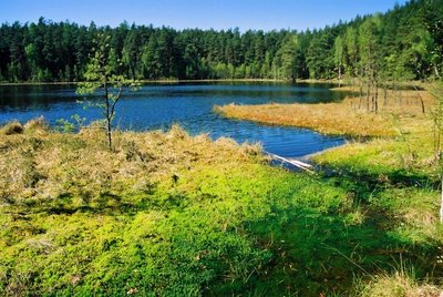 Mozūrai/ poland.travel/en/search/nature nuotr.