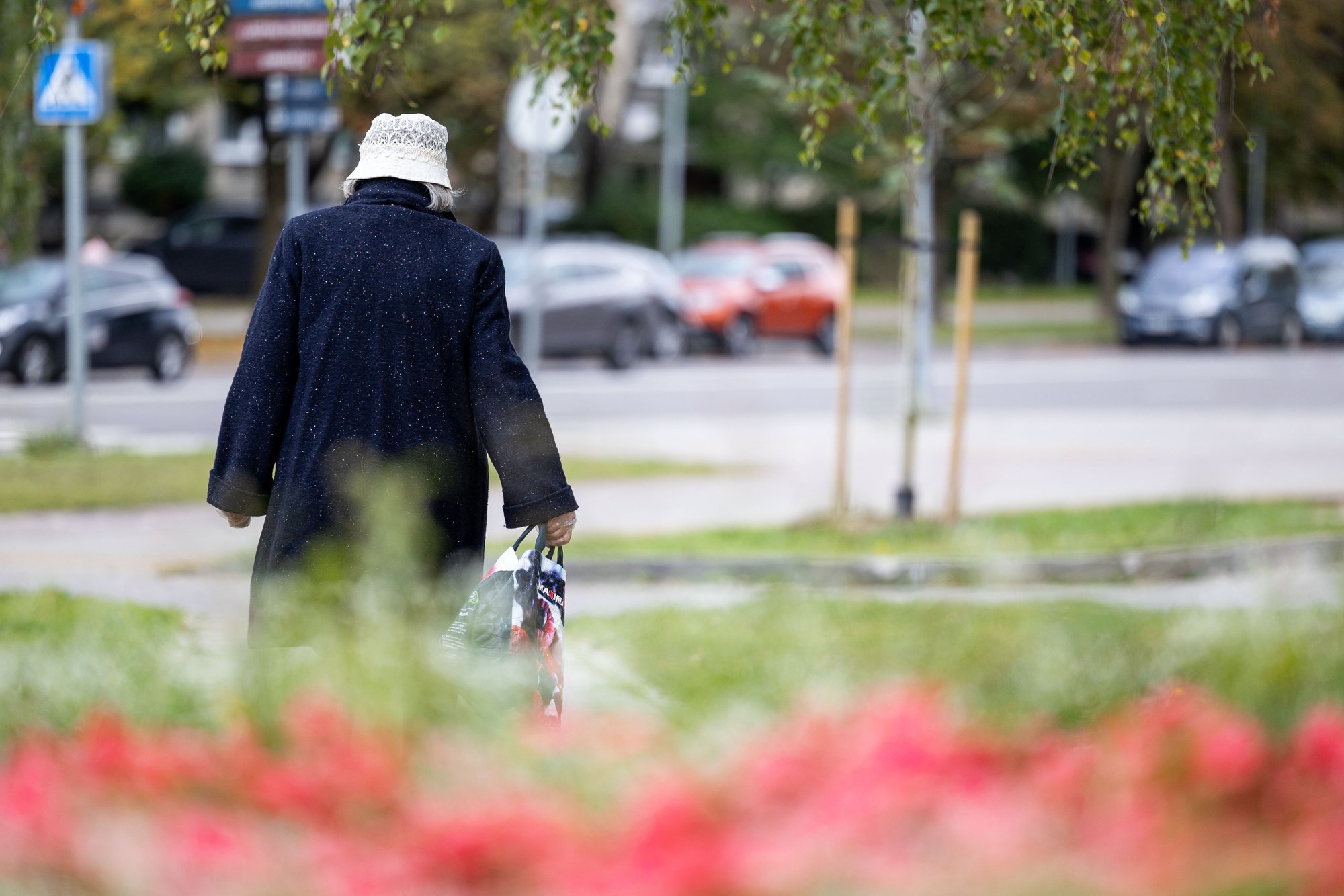 Parliament Considers Proposal to Establish Commission for Elderly Affairs