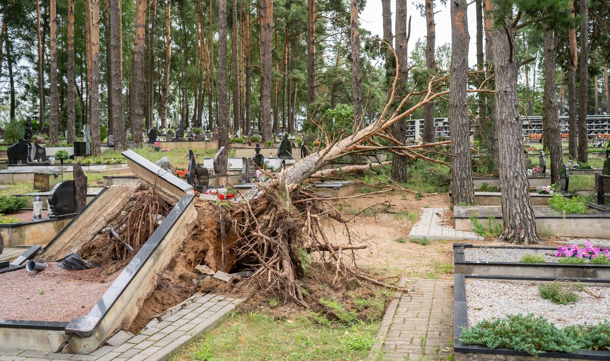 Praūžusi audra nusiaubė Panevėžio kapines