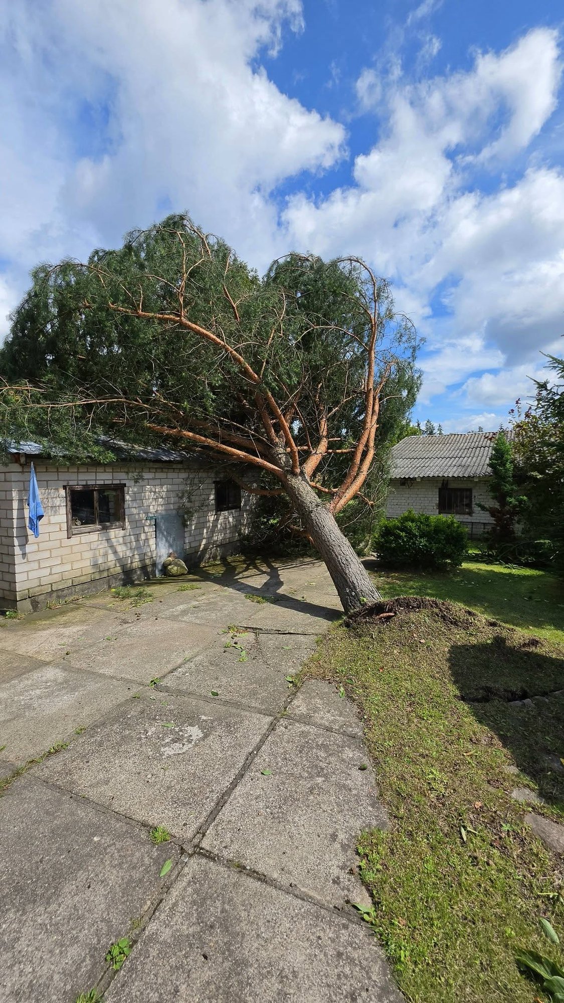 Vilnius District Considers State of Emergency After Severe Storm Damage