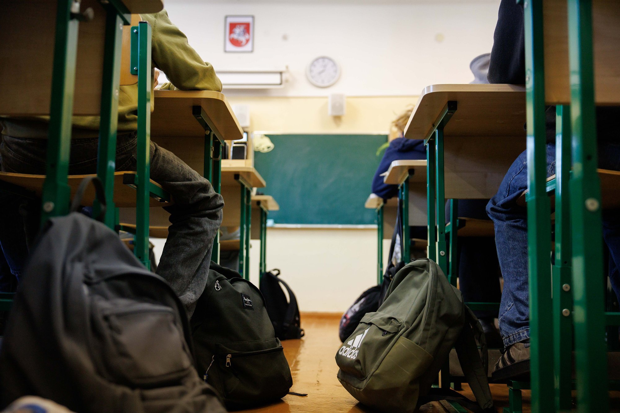 Lithuanian government approves more language classes for minority schools