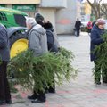 Trečiadienį miškininkai visoje Lietuvoje išdalins daugiau nei 100 tūkst. eglišakių