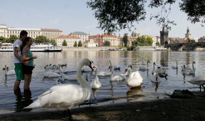 Daugumoje Rytų Europos miestų upės įrėmintos betonu  - ltavos upė ties Prahos centru - išimtis