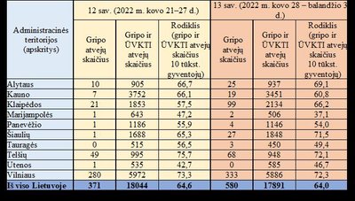 Sergamumas gripu 2022 metų 13 savaitę.