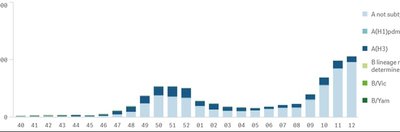 Sergamumas gripu 2022 metų 13 savaitę.