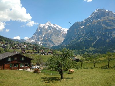 Šveicarija, Grindelvaldas