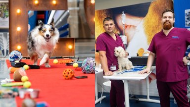 Kačių ir šunų šeimininkus kviečia į nemokamą renginį – konsultuos veterinarijos gydytojai, lauks pramogos