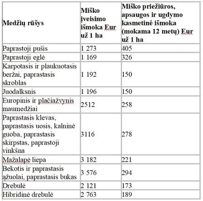 išmokų dydžiai