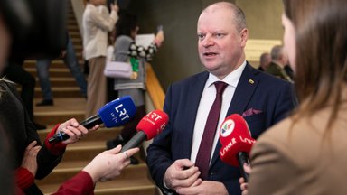 Skvernelis sklaido abejones dėl gynybos finansavimo