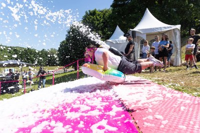 Vilniaus Šaltibarščių festivalis