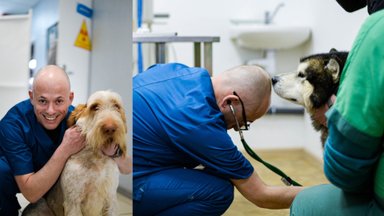 Privačios veterinarijos pradininkas Lietuvoje: pasaulis darosi labai vienišas – tai keičia ir žmonių požiūrį į gyvūnus