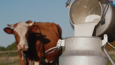 Milk purchase price rises for three straight months