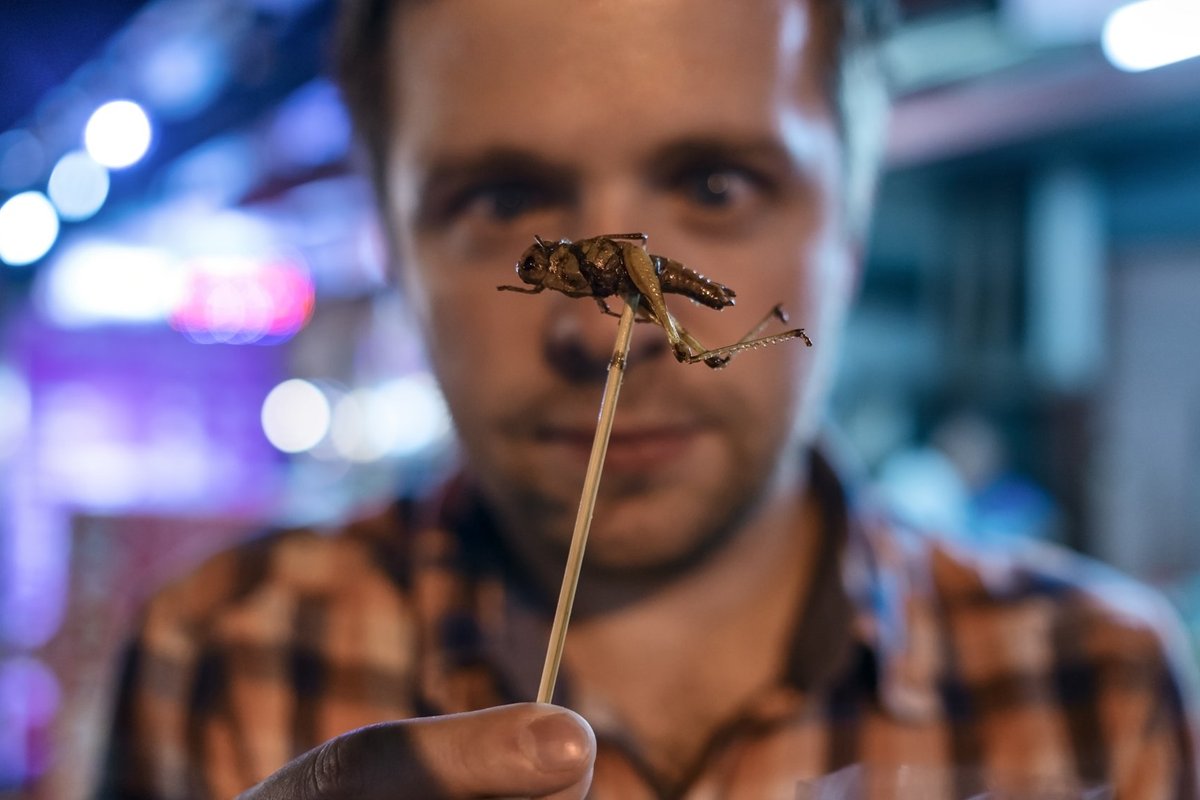 архиве насекомое ? - Delfi RU