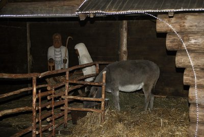 Šis asilas iš prakartėlės buvo išvesdintas