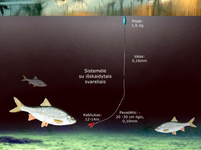 Schema: kuojų žūklė senvagėse